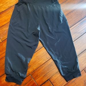 Fabletics pants